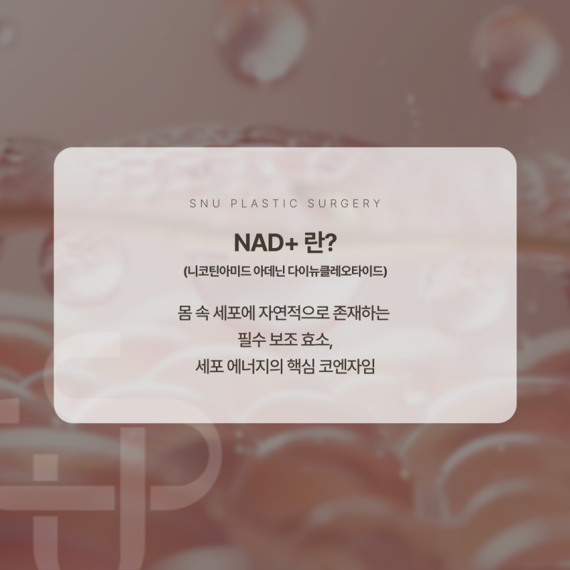 NAD+ 전구체 주사 효과│세포 활력 회복과 항노화