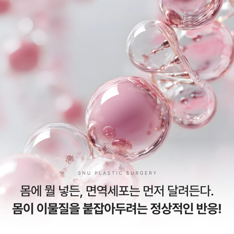 주사 시술의 진실: 면역학의 눈으로 보는 필러·생체자극제·ECM(ADM) 스킨부스터