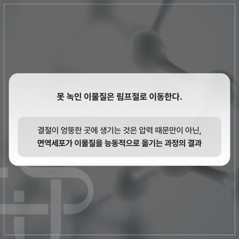 주사 시술의 진실: 면역학의 눈으로 보는 필러·생체자극제·ECM(ADM) 스킨부스터 사진 4